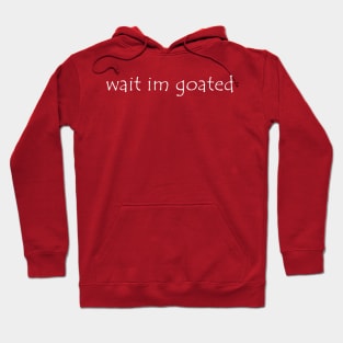 Wait I'm Goated Hoodie